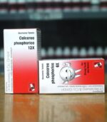 Eames plastic side chair (Copy) - Image 2