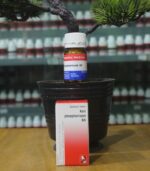 Eames plastic side chair (Copy)