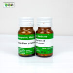 Anacardium Orientale 3X (20g) - Image 3