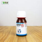 Kent 15 (Rheumatism) - Image 5