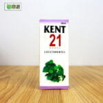 Kent 21 (Leucoderma) - Image 2