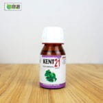 Kent 21 (Leucoderma) - Image 4