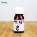 Kent No 56 (Paralysis) - Image 5
