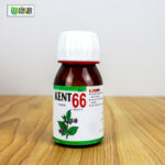 Kent 66 (Tumor) - Image 5