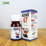 Kent 67 (hernia) - Image 4