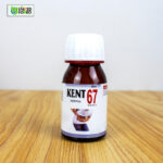 Kent 67 (hernia) - Image 5