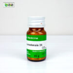 Sanguinaria Canadensis 3X (20g) - Image 2