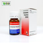 Calcarea Fluorica 200X (20g) - Image 2