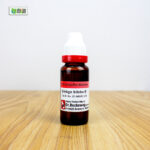 Ginkgo Biloba Ø (20ml) - Image 3