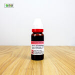 Pinus Iambertiana Ø (20ml) - Image 2