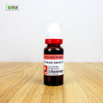 Ocimum Canum Ø (20ml) - Image 3