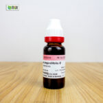 Echinacea Angustifolia Ø (20ml) - Image 3