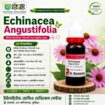 Echinacea Angustifolia Ø (20ml)