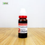 Chimaphila Umb Ø (20ml) - Image 3