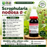 Scrophularia Nodosa Ø (20ml)
