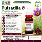 Pulsatilla Ø (20ml)