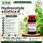 Hydrocotyle Asiatica Ø (20ml)