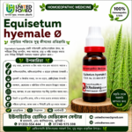 Equisetum Hiemale Ø (20ml)