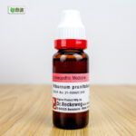 Viburnum Prunifolium Ø (20ml) - Image 3