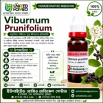 Viburnum Prunifolium Ø (20ml)