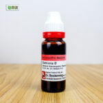 Damiana Ø (20ml) - Image 3