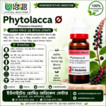 Phytolacca Ø (20ml)