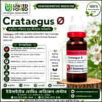 Crataegus Ø (20ml)