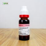 Collinasonia Canadensis Ø (20ml) - Image 2