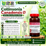 Collinasonia Canadensis Ø (20ml)