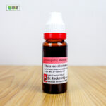Thuja Occidentalis Ø (20ml) - Image 3