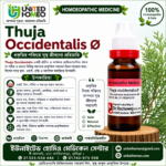 Thuja Occidentalis Ø (20ml)