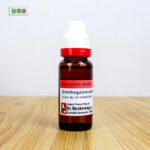 Ornithogalum Umbellatum Ø (20ml) - Image 3