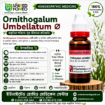 Ornithogalum Umbellatum Ø (20ml)