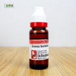 Usnea Barbata Ø (20ml) - Image 2