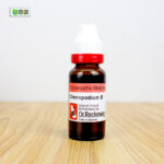 Chenopodium Ø (20ml) - Image 2