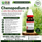 Chelidonium Majus Ø (20ml)