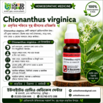 Chionanthus Virginica Ø (20ml)