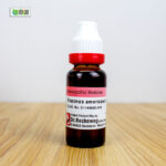 Fraxinus Americana Ø (20ml) - Image 2