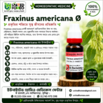 Fraxinus Americana Ø (20ml)