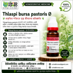 Thlaspi Bursa Pastoris Ø (20ml)