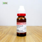 Cactus Grandiflorus Ø (20ml) - Image 3