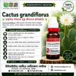 Cactus Grandiflorus Ø (20ml)