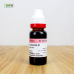Passiflora Incarnata Ø (20ml) - Image 2