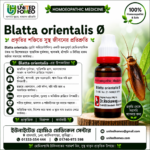 Blatta Orientalis Ø (20ml)