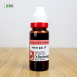 Ledum Pal Ø (20ml) - Image 3