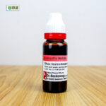Rhus Toxicodendron Ø (20ml) - Image 2