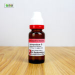 Lycopodium Ø (20ml) - Image 3