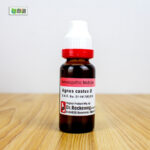 Agnus Castus Ø (20ml) - Image 3