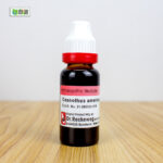 Ceanothus Americanus Ø (20ml) - Image 3