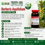 Berberis Aquifolium Ø (20ml)
